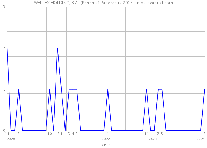 WELTEX HOLDING, S.A. (Panama) Page visits 2024 