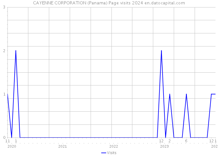 CAYENNE CORPORATION (Panama) Page visits 2024 