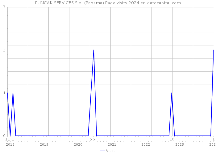 PUNCAK SERVICES S.A. (Panama) Page visits 2024 