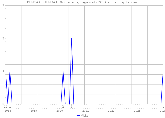 PUNCAK FOUNDATION (Panama) Page visits 2024 
