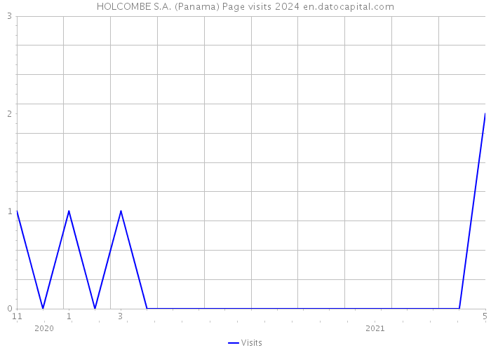 HOLCOMBE S.A. (Panama) Page visits 2024 