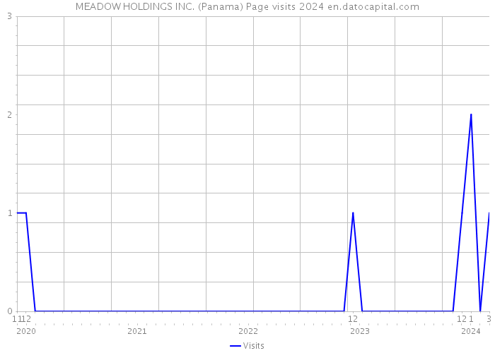 MEADOW HOLDINGS INC. (Panama) Page visits 2024 