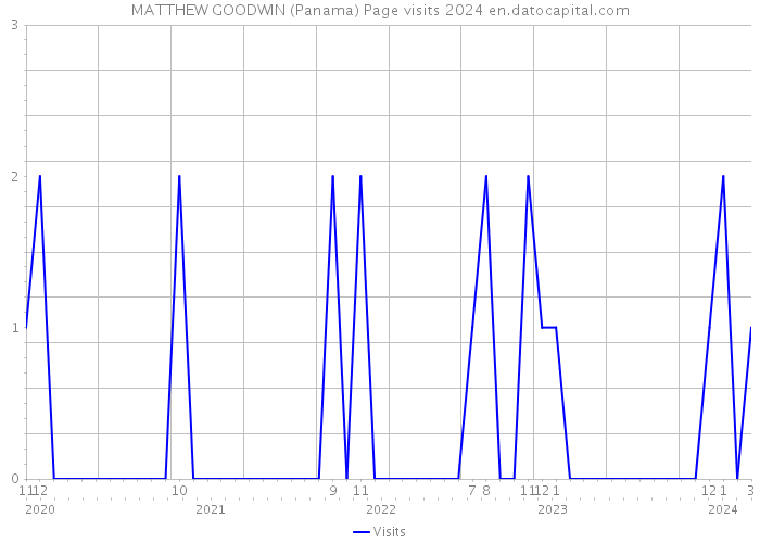 MATTHEW GOODWIN (Panama) Page visits 2024 