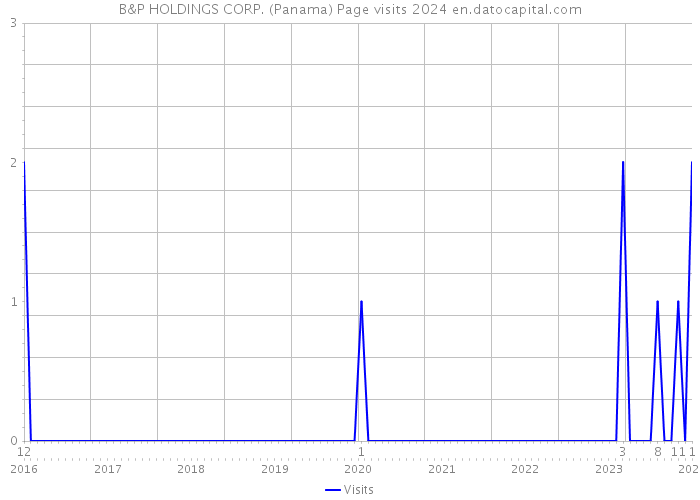 B&P HOLDINGS CORP. (Panama) Page visits 2024 