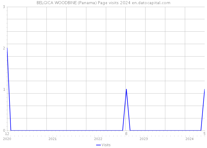 BELGICA WOODBINE (Panama) Page visits 2024 