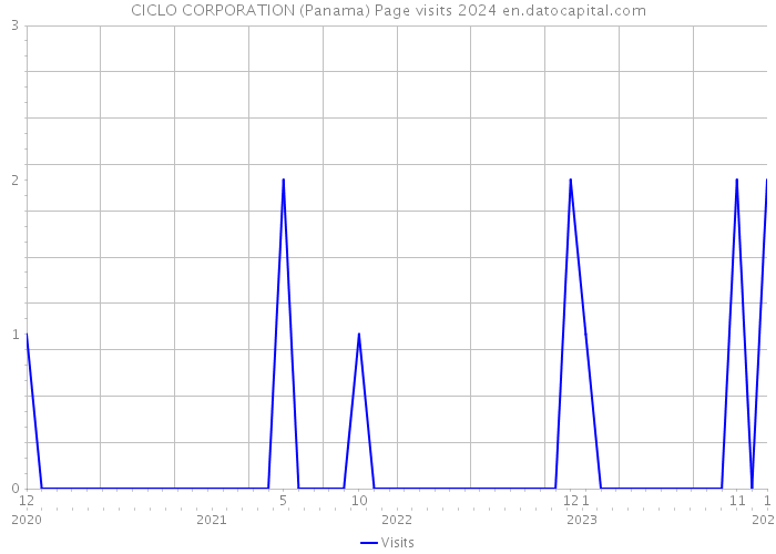 CICLO CORPORATION (Panama) Page visits 2024 