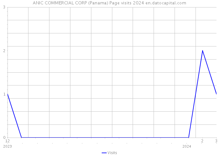 ANIC COMMERCIAL CORP (Panama) Page visits 2024 
