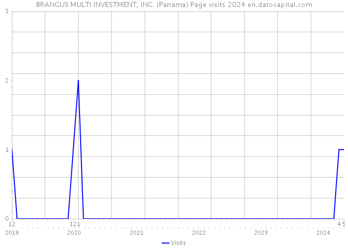 BRANGUS MULTI INVESTMENT, INC. (Panama) Page visits 2024 