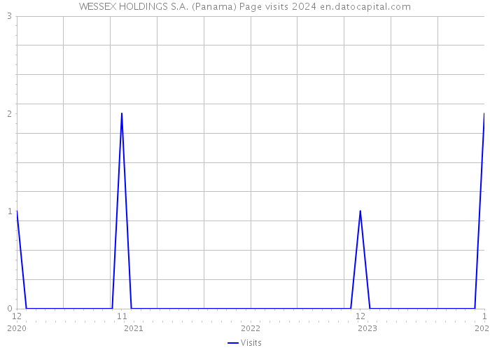 WESSEX HOLDINGS S.A. (Panama) Page visits 2024 