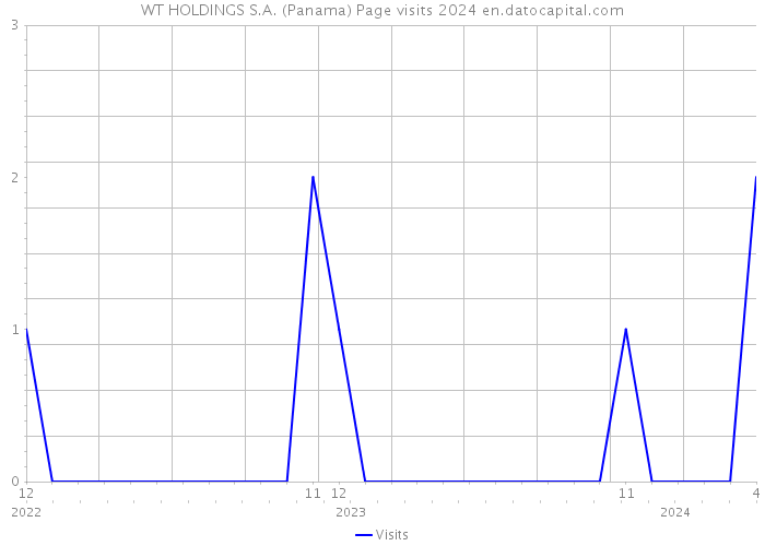WT HOLDINGS S.A. (Panama) Page visits 2024 
