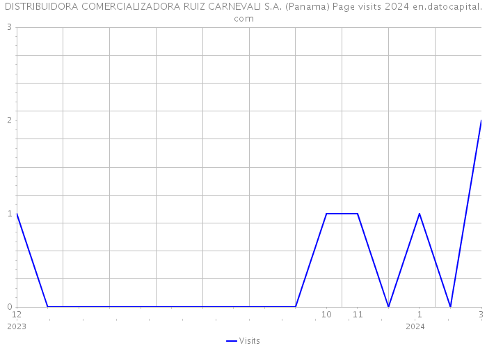 DISTRIBUIDORA COMERCIALIZADORA RUIZ CARNEVALI S.A. (Panama) Page visits 2024 