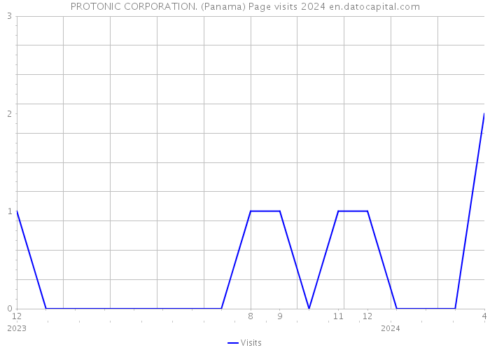 PROTONIC CORPORATION. (Panama) Page visits 2024 