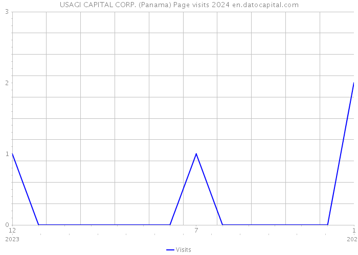 USAGI CAPITAL CORP. (Panama) Page visits 2024 