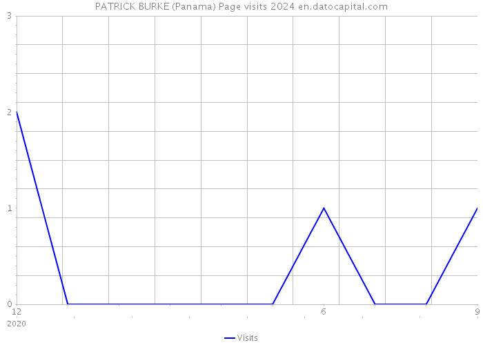 PATRICK BURKE (Panama) Page visits 2024 