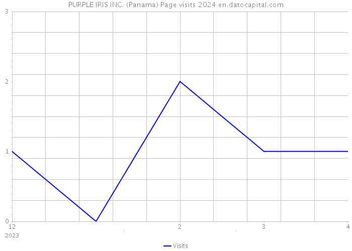 PURPLE IRIS INC. (Panama) Page visits 2024 