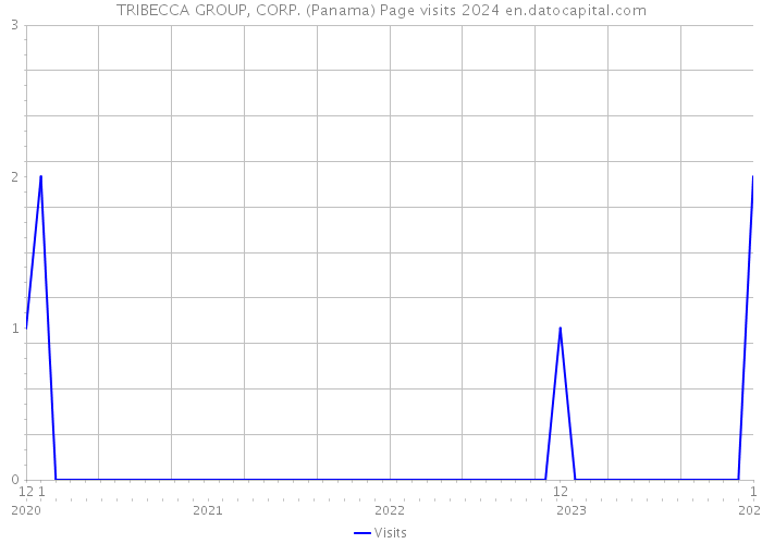 TRIBECCA GROUP, CORP. (Panama) Page visits 2024 