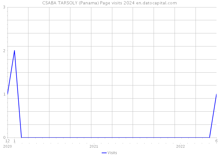 CSABA TARSOLY (Panama) Page visits 2024 