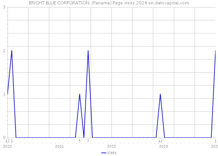 BRIGHT BLUE CORPORATION. (Panama) Page visits 2024 