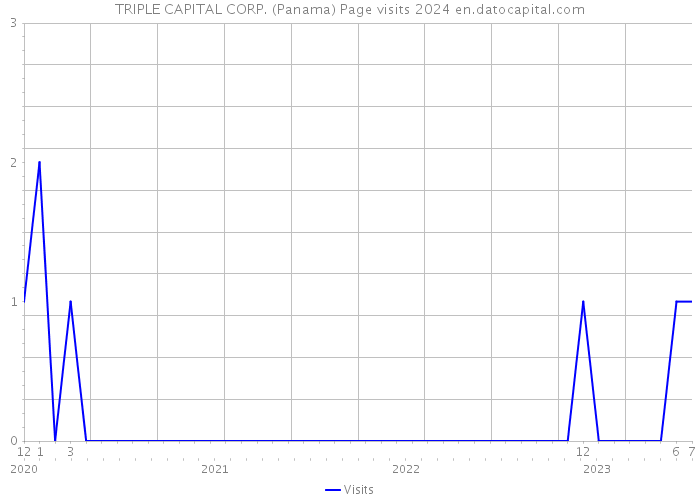 TRIPLE CAPITAL CORP. (Panama) Page visits 2024 