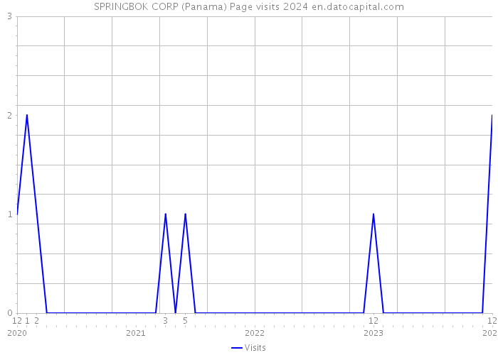 SPRINGBOK CORP (Panama) Page visits 2024 
