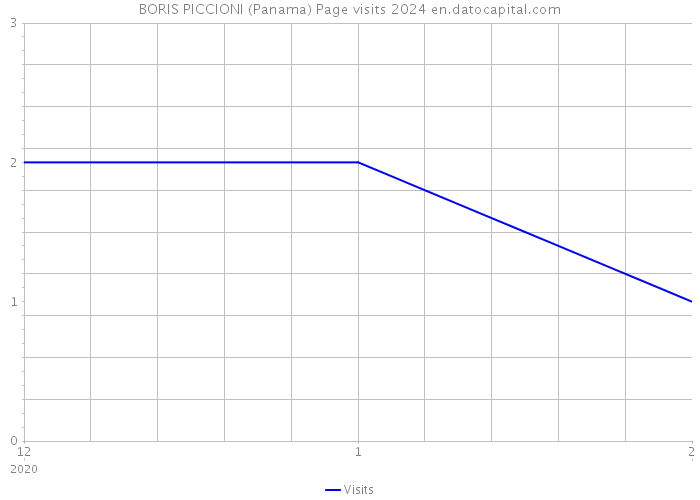 BORIS PICCIONI (Panama) Page visits 2024 
