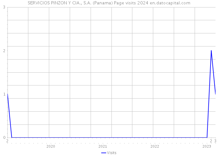SERVICIOS PINZON Y CIA., S.A. (Panama) Page visits 2024 