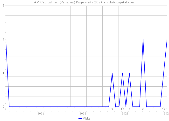 AM Capital Inc. (Panama) Page visits 2024 
