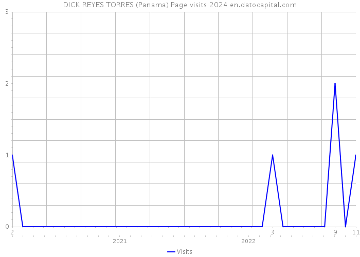 DICK REYES TORRES (Panama) Page visits 2024 