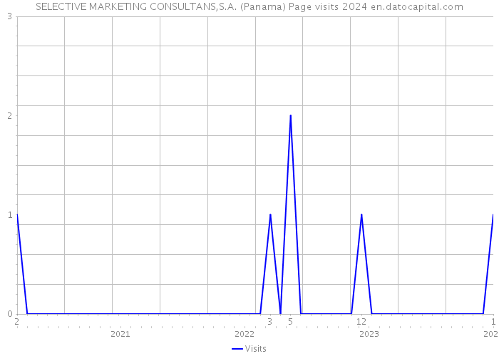 SELECTIVE MARKETING CONSULTANS,S.A. (Panama) Page visits 2024 