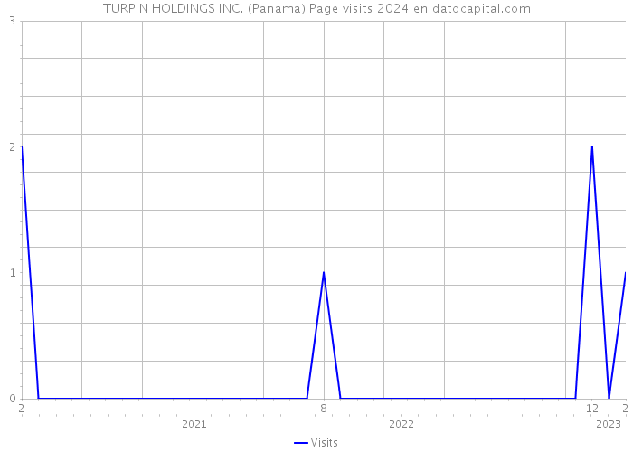 TURPIN HOLDINGS INC. (Panama) Page visits 2024 