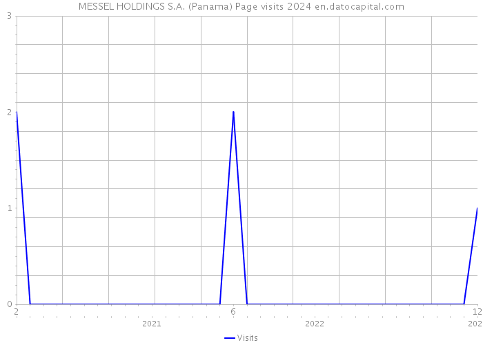 MESSEL HOLDINGS S.A. (Panama) Page visits 2024 