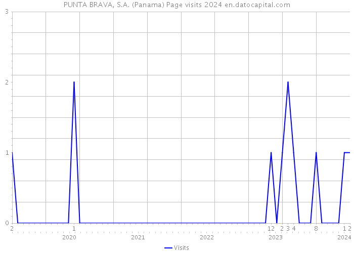 PUNTA BRAVA, S.A. (Panama) Page visits 2024 