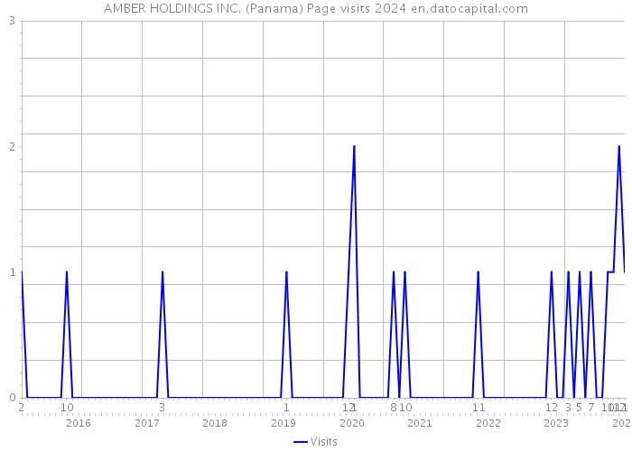 AMBER HOLDINGS INC. (Panama) Page visits 2024 