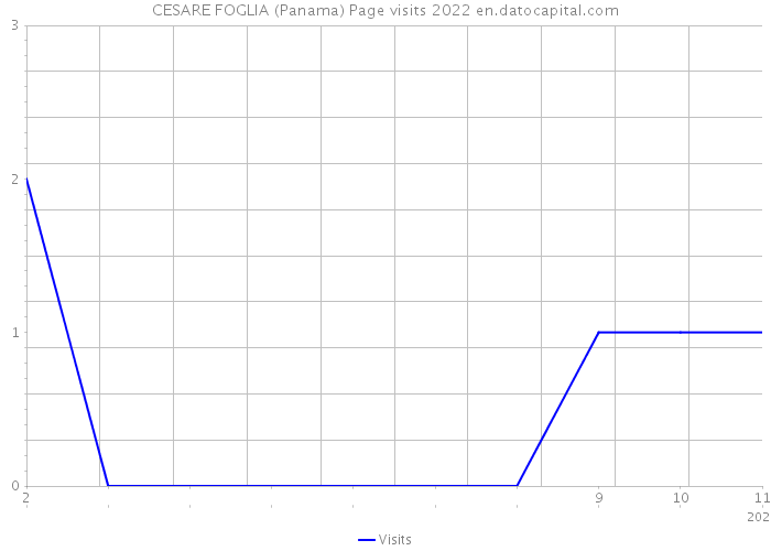 CESARE FOGLIA (Panama) Page visits 2022 