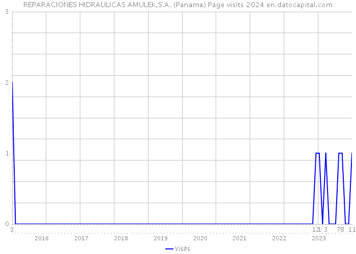 REPARACIONES HIDRAULICAS AMULEK,S.A. (Panama) Page visits 2024 