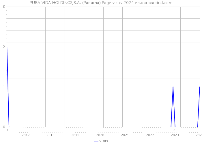PURA VIDA HOLDINGS,S.A. (Panama) Page visits 2024 