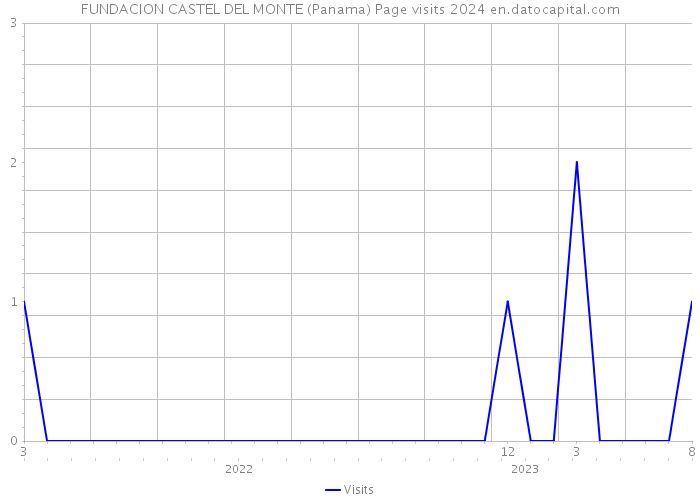 FUNDACION CASTEL DEL MONTE (Panama) Page visits 2024 