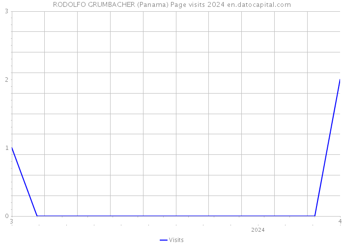 RODOLFO GRUMBACHER (Panama) Page visits 2024 