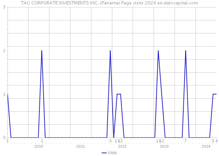 TAG CORPORATE INVESTMENTS INC. (Panama) Page visits 2024 