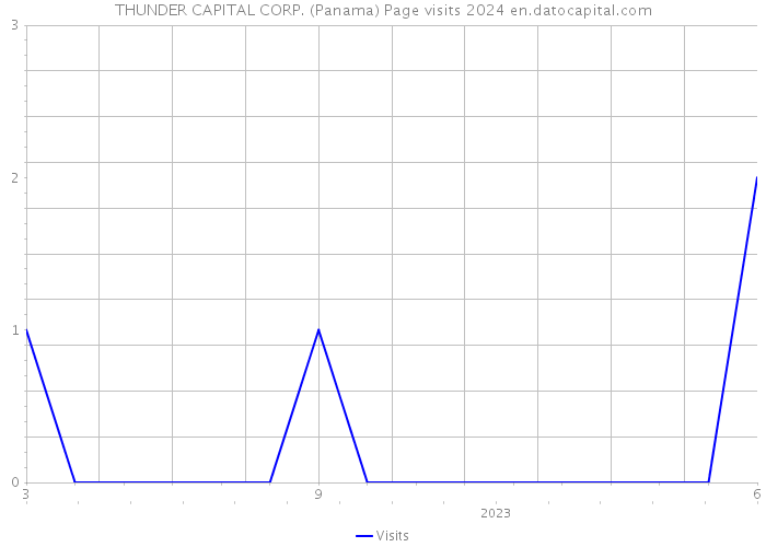 THUNDER CAPITAL CORP. (Panama) Page visits 2024 