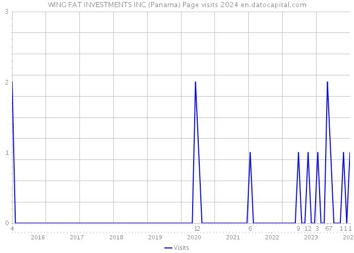 WING FAT INVESTMENTS INC (Panama) Page visits 2024 