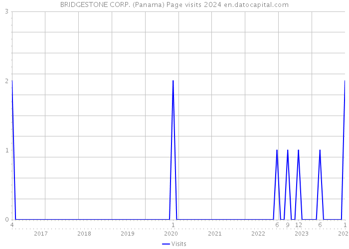 BRIDGESTONE CORP. (Panama) Page visits 2024 