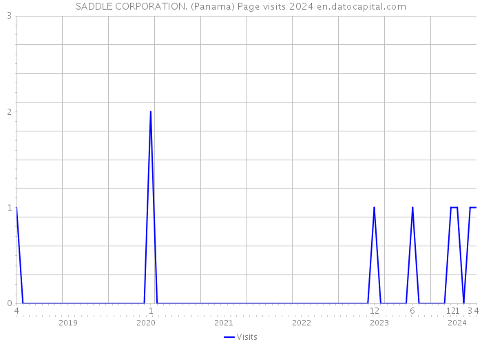 SADDLE CORPORATION. (Panama) Page visits 2024 