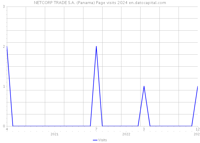 NETCORP TRADE S.A. (Panama) Page visits 2024 