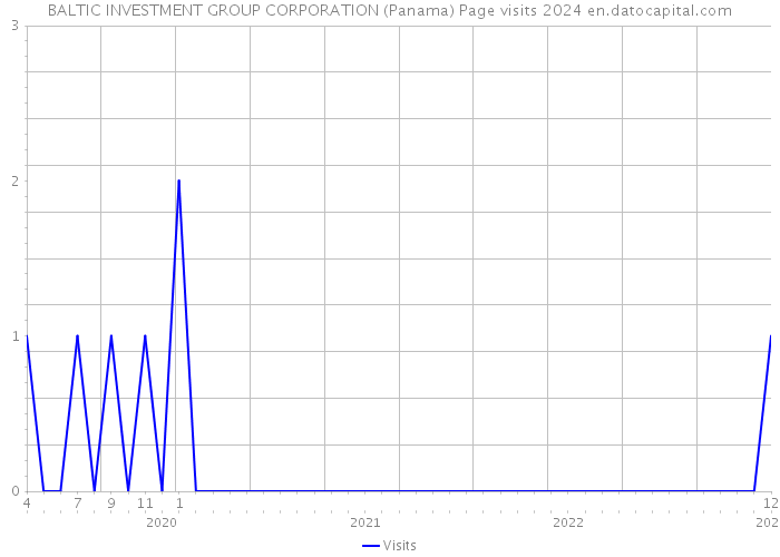 BALTIC INVESTMENT GROUP CORPORATION (Panama) Page visits 2024 