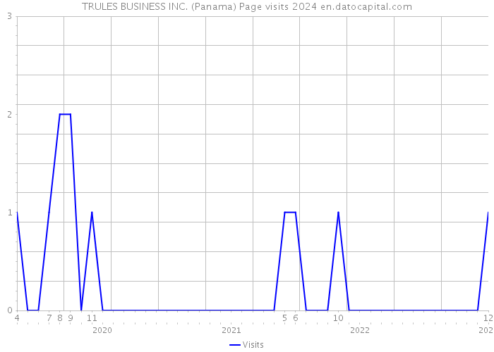 TRULES BUSINESS INC. (Panama) Page visits 2024 