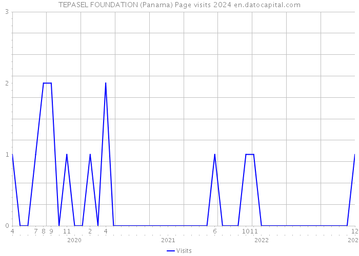TEPASEL FOUNDATION (Panama) Page visits 2024 