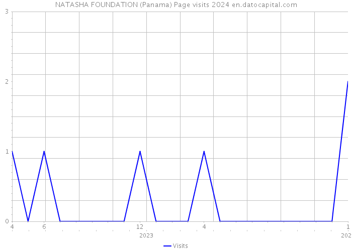 NATASHA FOUNDATION (Panama) Page visits 2024 