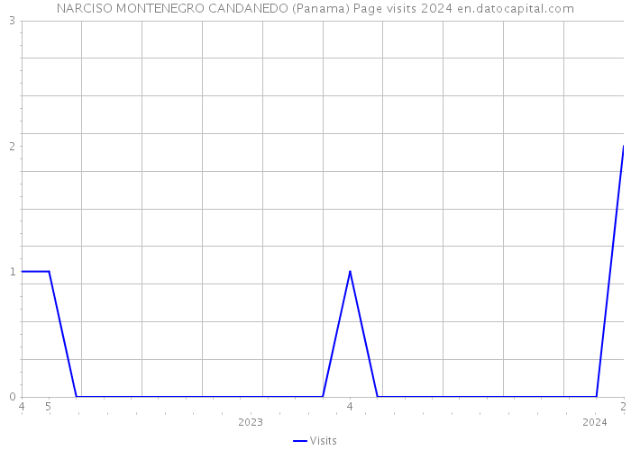 NARCISO MONTENEGRO CANDANEDO (Panama) Page visits 2024 