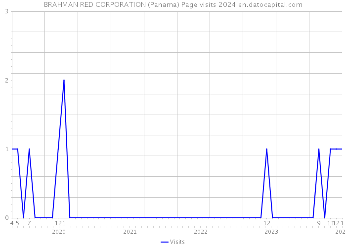 BRAHMAN RED CORPORATION (Panama) Page visits 2024 